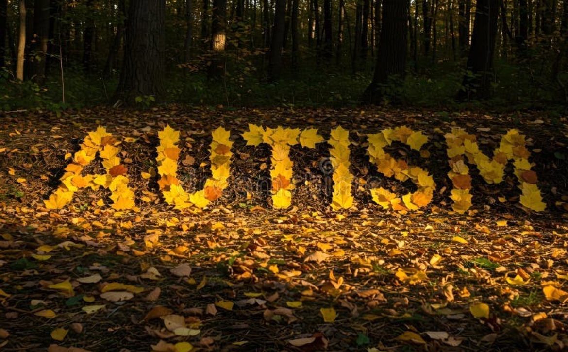 aut